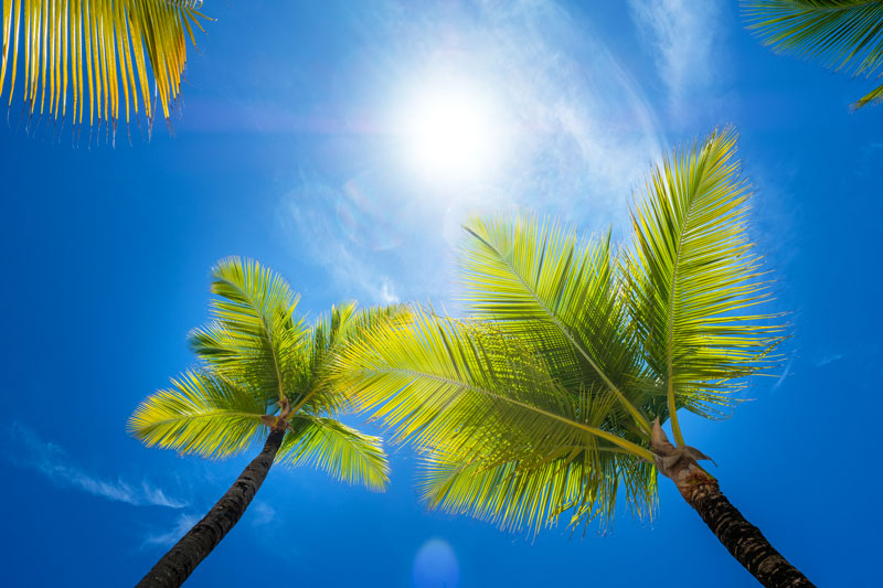 Florida Pool Fences - Pool Fence Installation - Durability in Florida's Climate